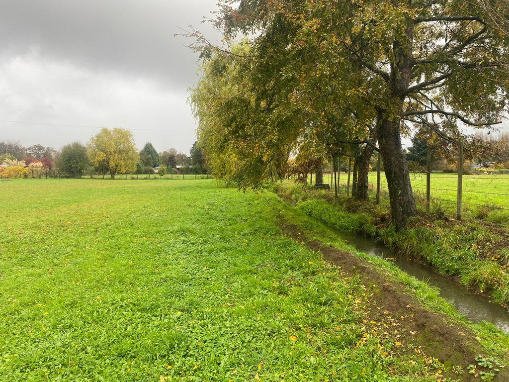 PARCELA EN VENTA EN PILLALELBÚN – TRANQUILIDAD, NATURALEZA Y EXCELENTE PROYECCIÓN