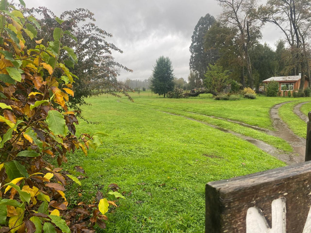PARCELA EN VENTA EN PILLALELBÚN – TRANQUILIDAD, NATURALEZA Y EXCELENTE PROYECCIÓN