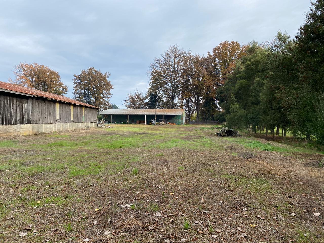 PARCELA EN VENTA EN LA ESPERANZA – GRAN TERRENO CON CASA Y AMPLIAS BODEGAS
