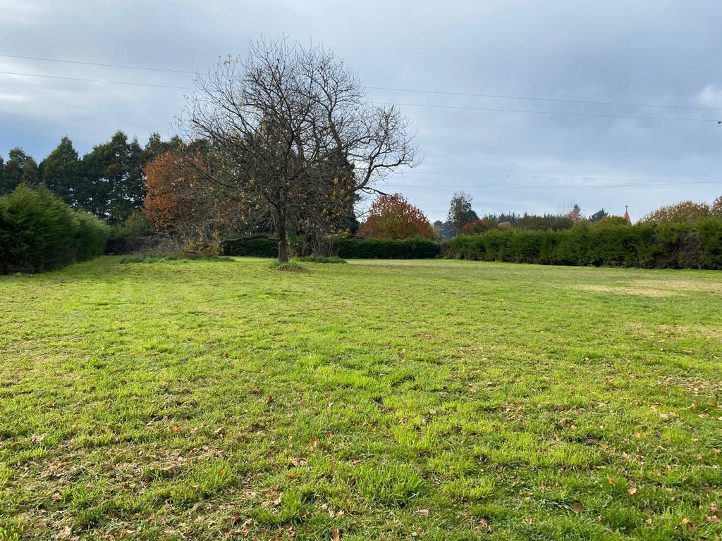 PARCELA EN VENTA EN LA ESPERANZA – GRAN TERRENO CON CASA Y AMPLIAS BODEGAS